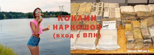 прущие крисы Гусев