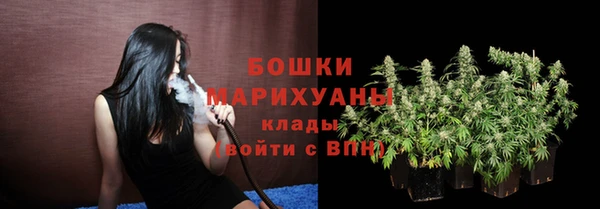 прущие крисы Гусев
