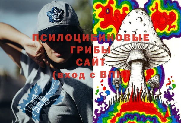 прущие крисы Гусев
