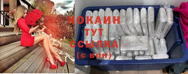 прущие крисы Гусев