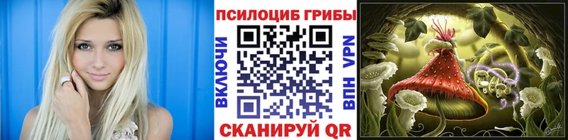 Псилоцибиновые грибы Cubensis  Сургут 